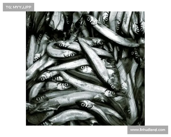 冰鳞蓝鱼的生存之困:七大保护挑战与生态威胁揭示 冰鳞蓝鱼的生存之困:七大保护挑战与生态威胁揭示