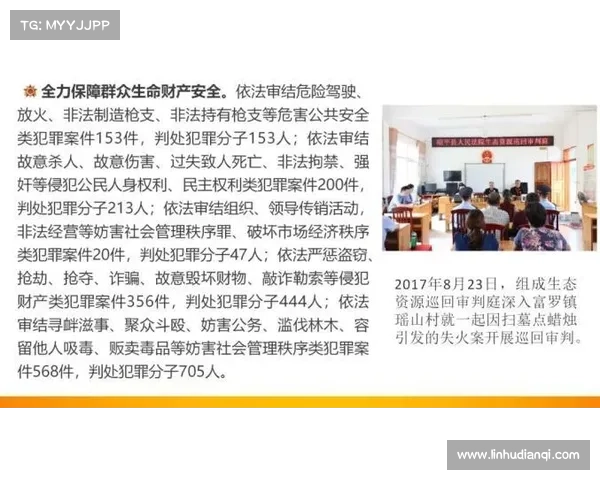 依法持有与合规使用武器的权责规范与安全操作指南实务与培训要点